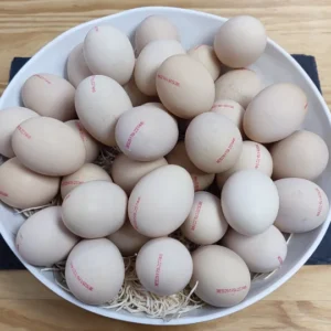 huevos de 2 yemas